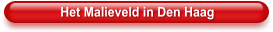 Het Malieveld in Den Haag