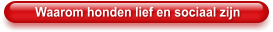 Waarom honden lief en sociaal zijn